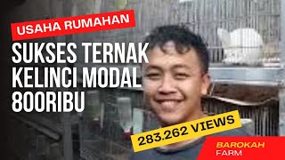 Cara Sukses Budidaya Kelinci Pedaging Dan Kelinci Hias Videos