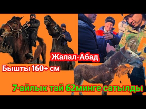 Жылкы Базар Жалал-Абад