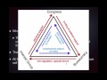 Understanding the Iron Triangle Dynamics