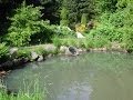 Stormwater Management Concepts and Challenges