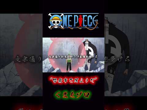 ONEPIECE “皆無事で何よりだ” くまとゾロ #onepiece #ゾロ #くま #サンジ