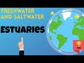 Understanding Estuaries