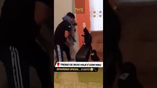 🥊 Hoje o treino de boxe foi diferente… meu sparring oficial é o gato ninja da casa 🐱😂