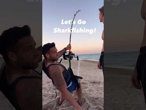 ‼️Let's Go Sharkfishing‼️ #shorts #fishing #shark #fish #sharkfishing #lbsf #fun #huge #ong