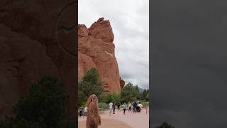Adult Swim Trend - Bigfoot Edition!