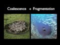 Understanding Conflict Patterns