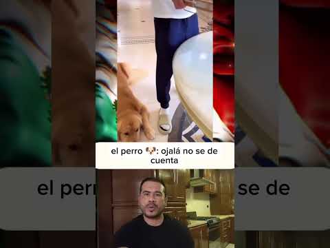 el perro 🐶 : ojalá y no se de cuenta 😂#mascotas #perros