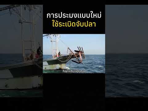 ใช้ระเบิดจับปลาในทะเล