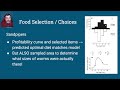 Foraging Behavior in Animals