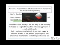 Animal Behavior and Stimuli