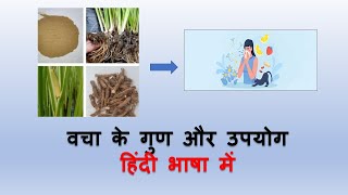 What If Acorus Calamus Is The Answer To Your Allergic Rhinitis?