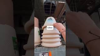 Macetas de Verano | The Home Depot