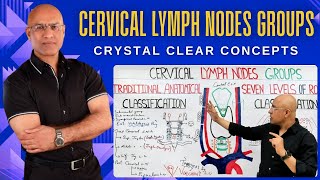 Cervical Lymph Nodes Groups