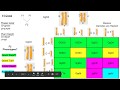 Exploring Punnett Squares