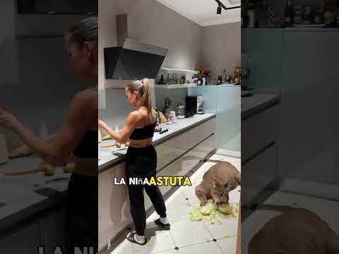 I forgot to close the door and a lynx sneaked into the kitchen#animals #Foryou #Friendship #Us#Lynx