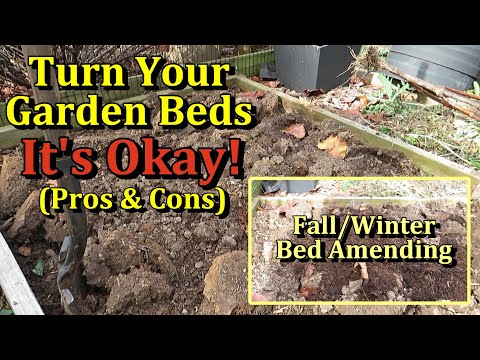 Fall & Winter Garden Bed  'Turn & Amend' Preparation (Turning Beds is Safe - 'No Dig' vs 'Dig')