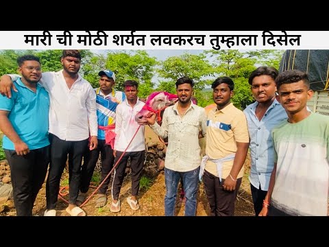 मारी ची मोठी शर्यत लवकरच तुम्हाला दिसेल.