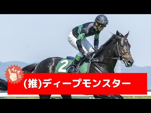 追い切り徹底解説！【小倉記念2025】メリオーレム、ハピなどの状態はどうか？調教S評価は3頭！