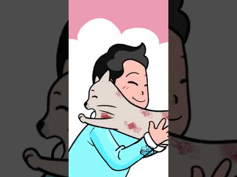 Đường cùng #giadinhdzanhoa #animation #gdzh