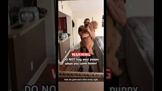 WARNING! DO NOT do this with your puppy! #dogdad #goldendoodle #doglove