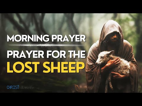 Morning Prayer for the Lost Sheep in Your Family | Don’t Stop Believing | Powerful Morning Prayers