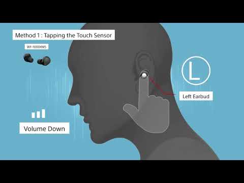 How to adjust volume of my Sony Truly Wireless Headphones