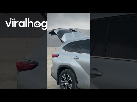 Okay Bear Lake Chill Out || ViralHog