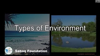 Types of Environment