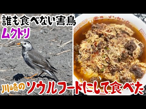 誰も食べない害鳥ムクドリ、川崎のソウルフードにして食べた