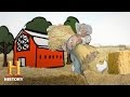 City vs Country: Understanding Urban and Rural Dynamics