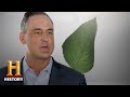 Understanding LendingTree and Loan Options