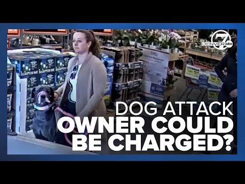 Owner whose dog attacked woman at Home Depot could be charged, deputies say