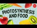 The Essentials of Photosynthesis and Food Production