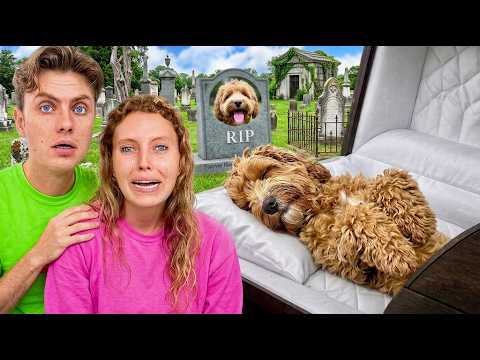 I Canโt Believe THIS happened to Her DOG...