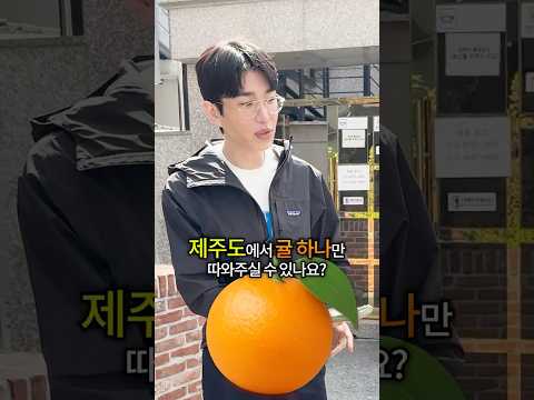 100만원이면 제주도에서 귤사오기 가능?불가능?