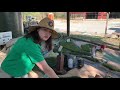 Understanding Watersheds and Water Management