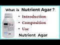 Nutrient Agar and Microorganisms