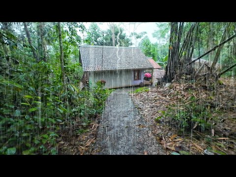 Jalan- jalan di Kampung Atas Bukit, Tiba-tiba Hujan Deras Mengguyur Desa Seram Tapi Bikin Betah