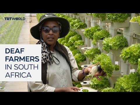 Farming project in South Africa transforming lives of deaf people