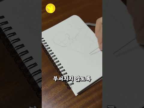 샤프심 하나로 이타도리 그리기