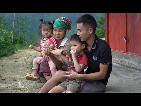 Chop cassava and banana, ferment to make food for pigs, family together happy
