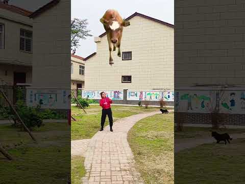Funny photo shoot One-click cut the same style Photo shoot is fun Video effect please do not imitate