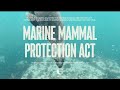 Marine Mammal Protection and Challenges