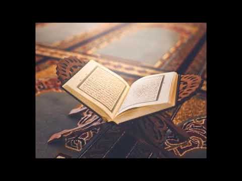فيديو 223 من  القرآن الكريم