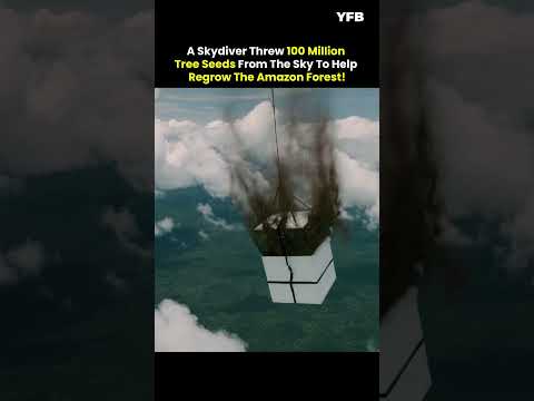 SKYDIVER DROPS SEEDS FROM SKY TO REGROW AMAZON FOREST! #shorts #trending #facts #trendingshorts