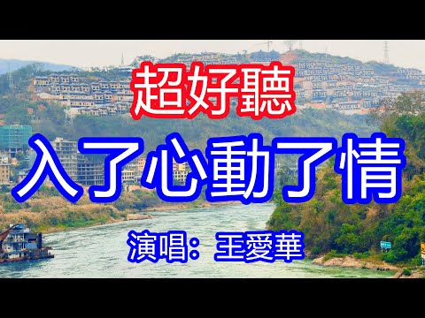 天呀！太好聽了，8月王愛華超火傷感情歌《入了心動了情》，獨特的嗓音，單曲循環聽不夠！我愛你入了心想你動了情，多少無眠的夜淚如泉湧！唱的撕心裂肺，聽得痛哭流涕！雲南風景！傷感情歌！療癒情歌！