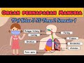 Kuis tentang Sistem Pernapasan Manusia