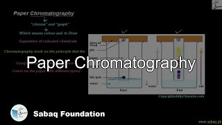 Paper Chromatography