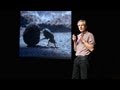 Dung Beetle Behavior and Navigation