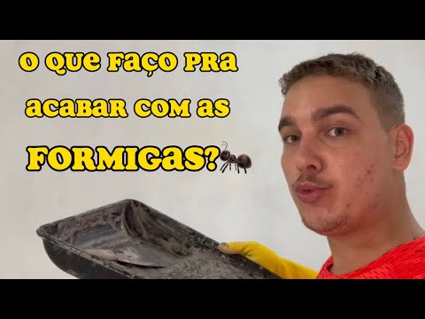 O QUE FAÇO PARA ACABAR COM AS FORMIGAS DENTRO DE CASA?